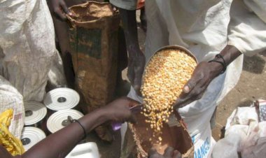 West Africa facing its worst food crisis in a decade, aid organisations warn