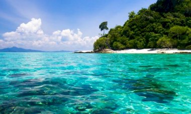 Trinidad and Tobago records its highest Covid-related death rate