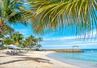 Caribbean islands added to travel green list - Voice Online