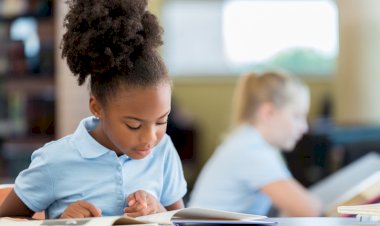 MPs to debate a petition relating to Black history and cultural diversity in the curriculum - Voice Online