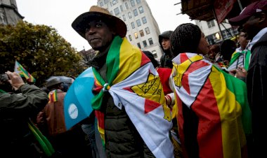 Second deportation flight to Zimbabwe confirmed for end of August - Voice Online