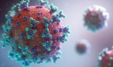 First Caribbean Omicron case found in Trinidad and Tobago