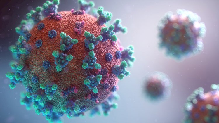 First Caribbean Omicron case found in Trinidad and Tobago