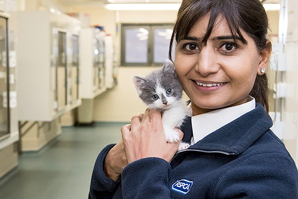 The RSPCA wants you! RSPCA seeks to diversify its animal rescue teams across the country
