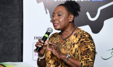 Jamaican Government to draft law to protect rights of Creative Professionals