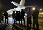 Deportation victims pen open letter to Jamaica to stop next charter flight
