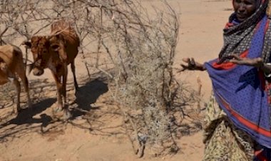 Millions face looming food crisis in east Africa