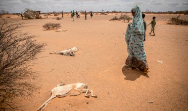 African nations call for an end to climate injustice