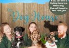 e much-loved Channel 4 series The Dog House Returns