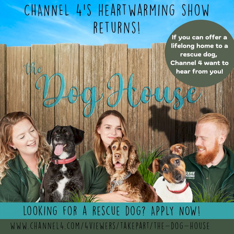 e much-loved Channel 4 series The Dog House Returns